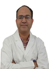 Dr Anjani Kumar  Kundal
