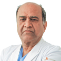 Dr Narmada Prasad Gupta